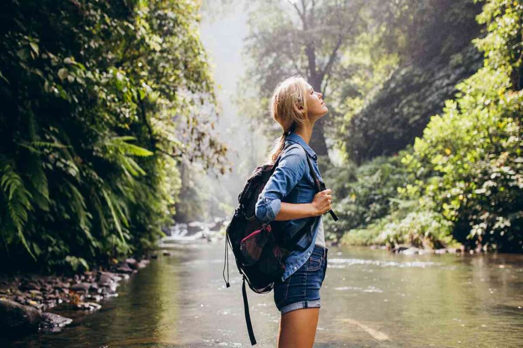 Turista